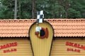 Kolmardens Djurpark 2015 del 2